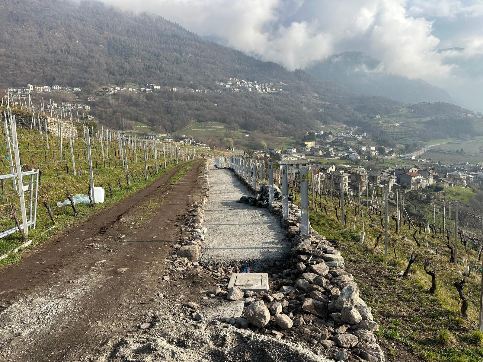 lavori professionali movimento terra e preparazione terreno